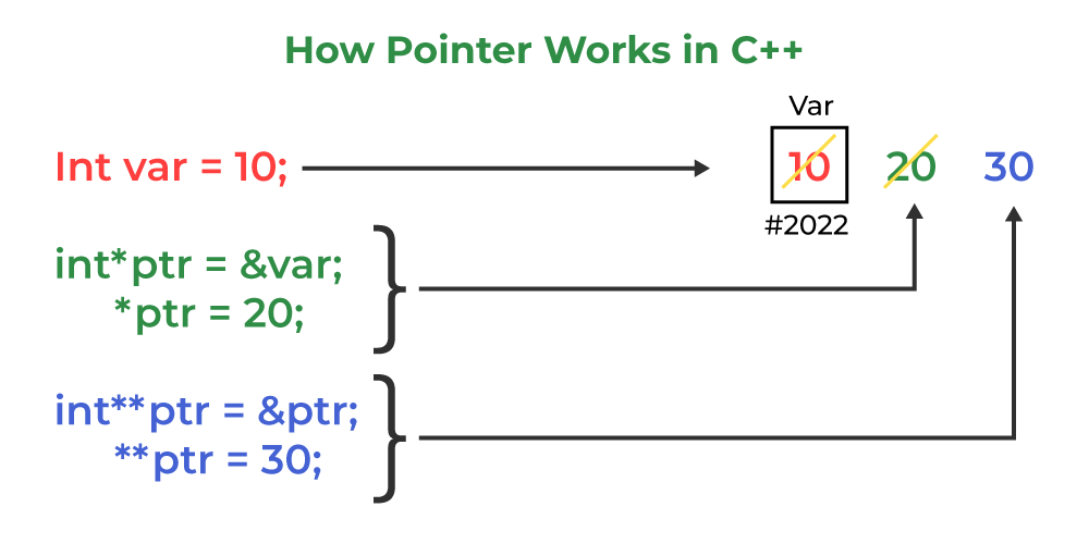 pointer con trỏ